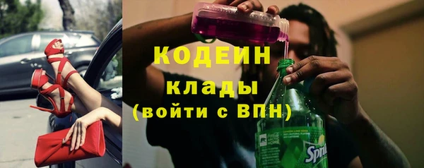 PSILOCYBIN Липки
