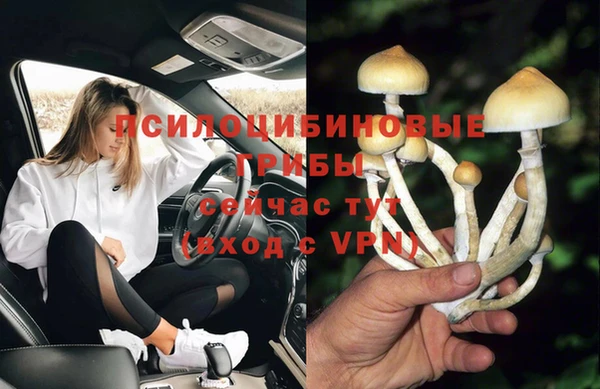 PSILOCYBIN Липки