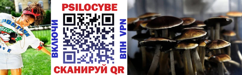 купить наркотик  Мытищи  Галлюциногенные грибы мицелий 