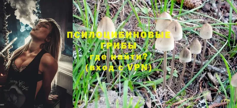 даркнет сайт  MEGA сайт  Псилоцибиновые грибы Psilocybine cubensis  Мытищи 