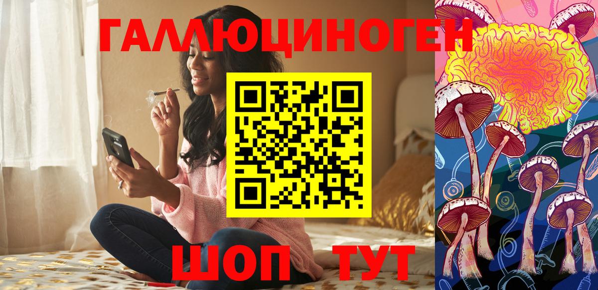 Галлюциногенные грибы Psilocybine cubensis  Галлюциногенные грибы Psilocybine cubensis  Мытищи 