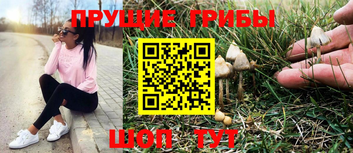 Галлюциногенные грибы GOLDEN TEACHER Мытищи