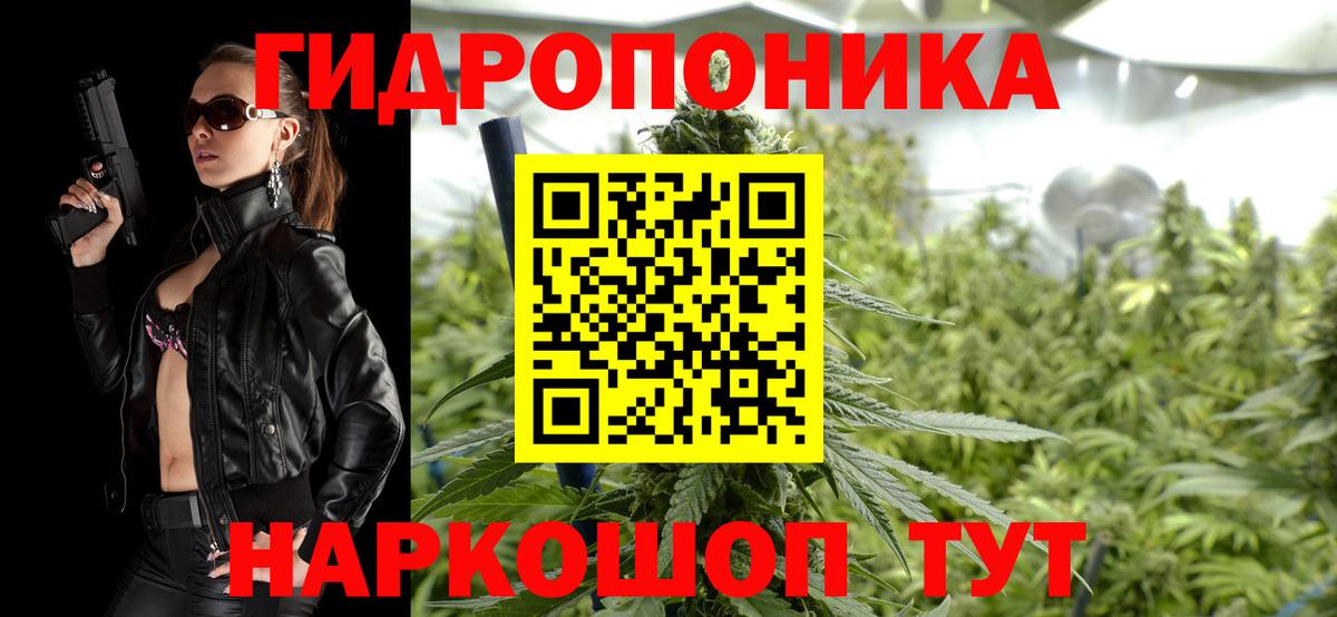 Канабис семена Мытищи